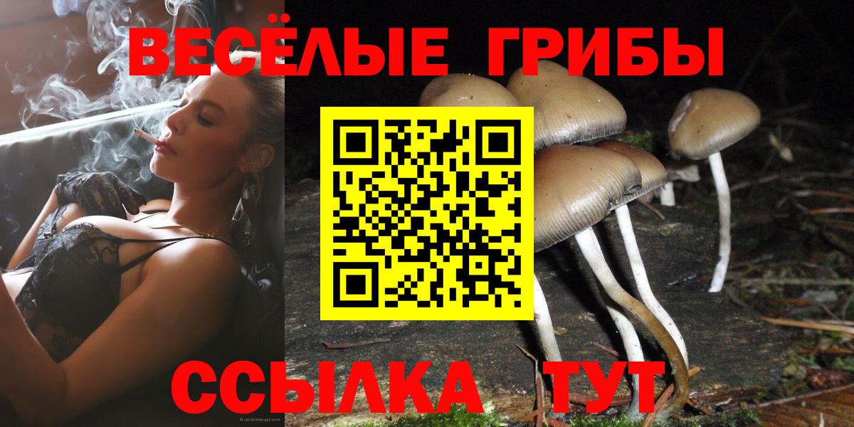 Псилоцибиновые грибы Cubensis  Псилоцибиновые грибы GOLDEN TEACHER  Вход с VPN  Кашира 